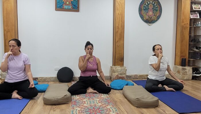 Clases de Yoga Restaurativo